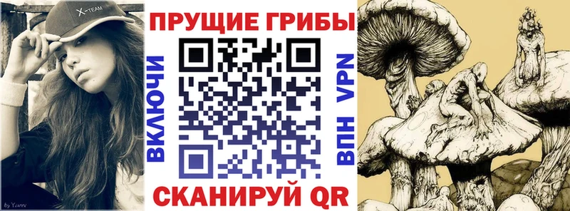Псилоцибиновые грибы ЛСД  Тутаев 